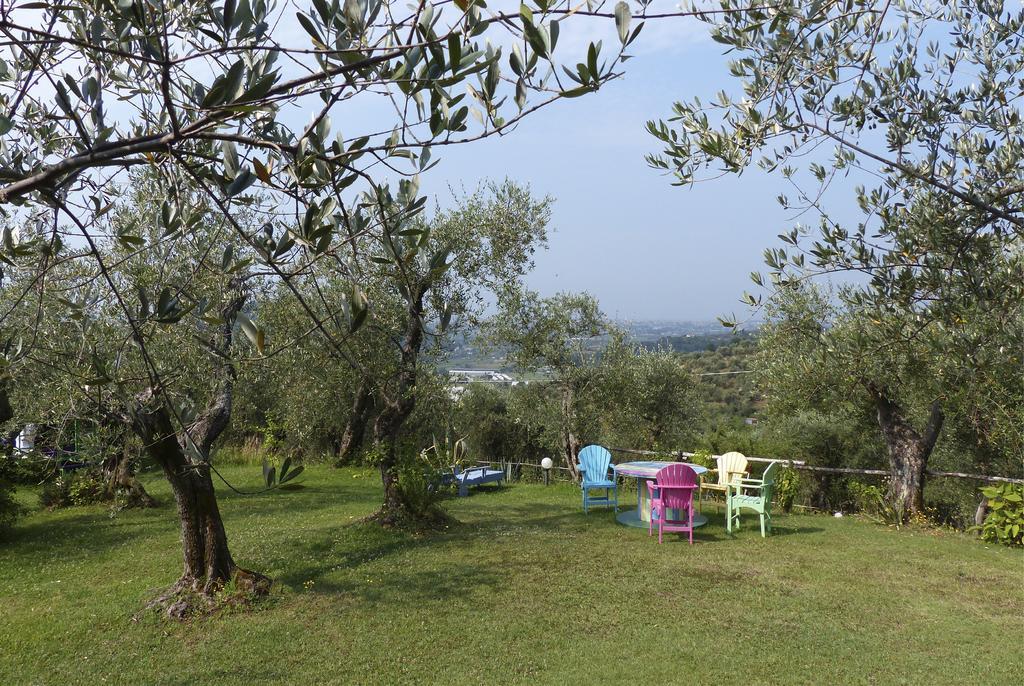 Azienda Agricola Della Mezzaluna Stiava 외부 사진