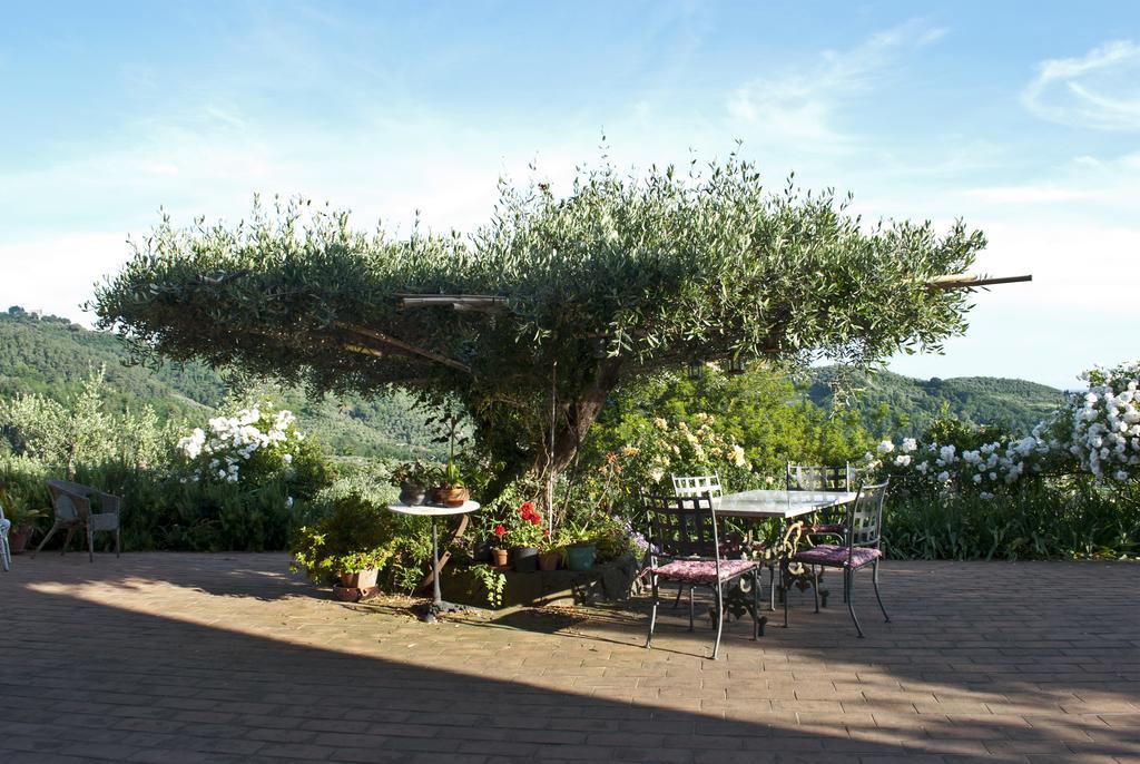 Azienda Agricola Della Mezzaluna Stiava 외부 사진